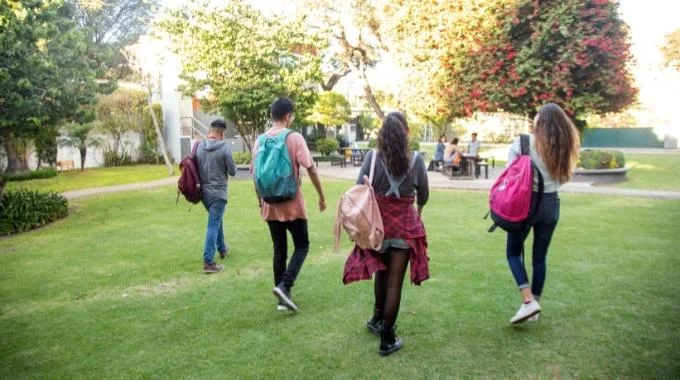 Becas IMAS